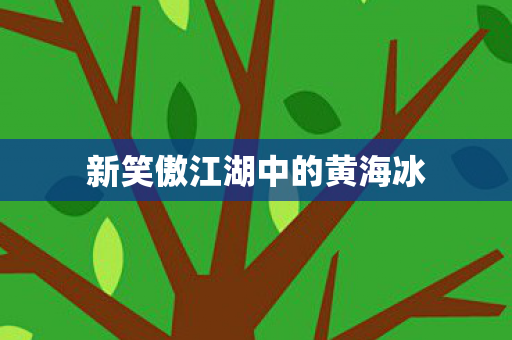 新笑傲江湖中的黄海冰 新笑傲江湖中的黄海冰