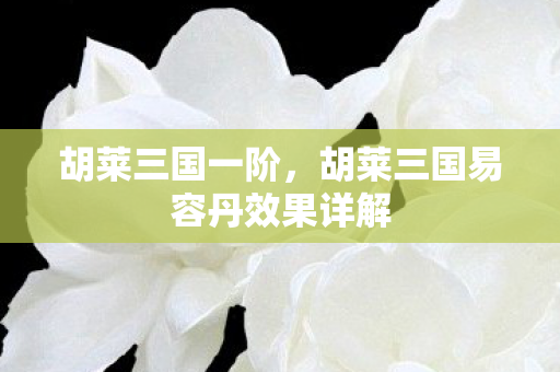 胡莱三国一阶,胡莱三国易容丹效果详解 胡莱三国一阶,胡莱三国易容丹效果详解