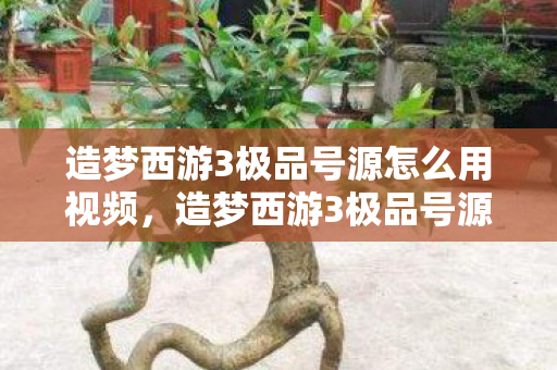 造梦西游3极品号源怎么用视频,造梦西游3极品号源怎么用 造梦西游3极品号源怎么用视频,造梦西游3极品号源怎么用