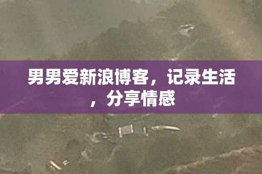 男男爱新浪博客,记录生活,分享情感 男男爱新浪博客,记录生活,分享情感