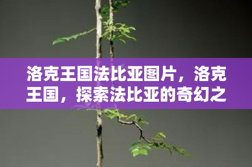洛克王国法比亚图片,洛克王国,探索法比亚的奇幻之旅 洛克王国法比亚图片,洛克王国,探索法比亚的奇幻之旅