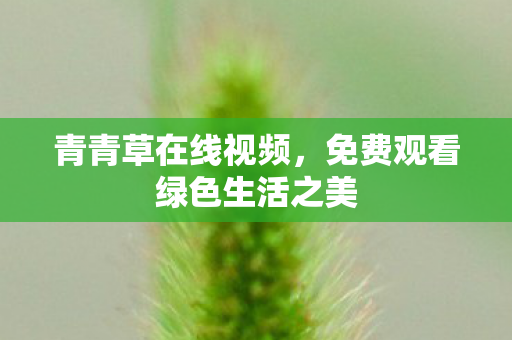 青青草在线视频,免费观看绿色生活之美 青青草在线视频,免费观看绿色生活之美