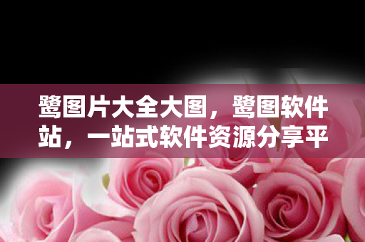 鹭图片大全大图,鹭图软件站,一站式软件资源分享平台 鹭图片大全大图,鹭图软件站,一站式软件资源分享平台