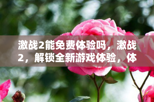 激战2能免费体验吗,激战2,解锁全新游戏体验,体验码助你畅游奇幻世界 激战2能免费体验吗,激战2,解锁全新游戏体验,体验码助你畅游奇幻世界