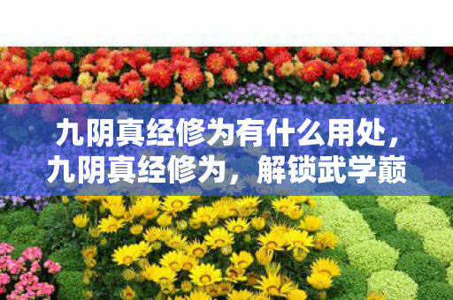 九阴真经修为有什么用处,九阴真经修为,解锁武学巅峰的钥匙 九阴真经修为有什么用处,九阴真经修为,解锁武学巅峰的钥匙