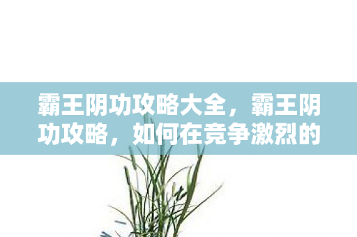 霸王阴功攻略大全,霸王阴功攻略,如何在竞争激烈的环境中脱颖而出 霸王阴功攻略大全,霸王阴功攻略,如何在竞争激烈的环境中脱颖而出