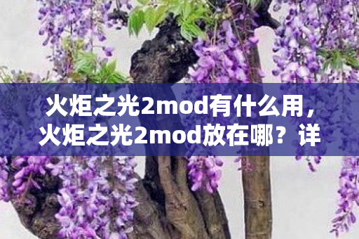火炬之光2mod有什么用,火炬之光2mod放在哪?详细指南助你轻松安装 火炬之光2mod有什么用,火炬之光2mod放在哪?详细指南助你轻松安装