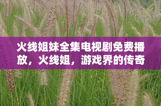 火线姐妹全集电视剧免费播放,火线姐,游戏界的传奇女性 火线姐妹全集电视剧免费播放,火线姐,游戏界的传奇女性