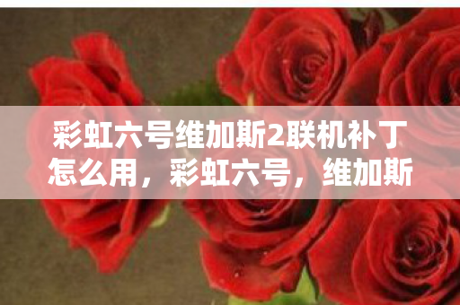 彩虹六号维加斯2联机补丁怎么用,彩虹六号,维加斯2联机补丁全解析 彩虹六号维加斯2联机补丁怎么用,彩虹六号,维加斯2联机补丁全解析