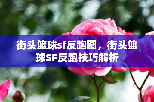 街头篮球sf反跑图,街头篮球SF反跑技巧解析 街头篮球sf反跑图,街头篮球SF反跑技巧解析