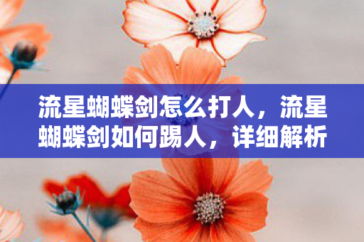 流星蝴蝶剑怎么打人,流星蝴蝶剑如何踢人,详细解析与操作指南 流星蝴蝶剑怎么打人,流星蝴蝶剑如何踢人,详细解析与操作指南