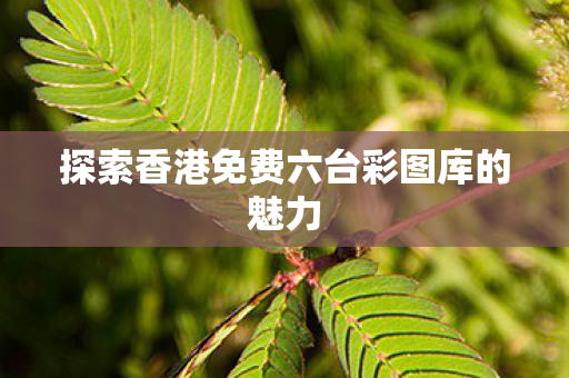 探索香港免费六台彩图库的魅力 探索香港免费六台彩图库的魅力