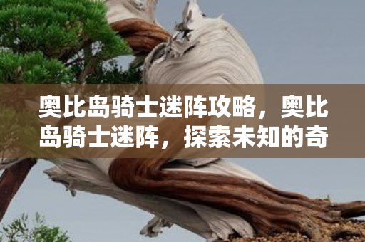 奥比岛骑士迷阵攻略,奥比岛骑士迷阵,探索未知的奇幻之旅 奥比岛骑士迷阵攻略,奥比岛骑士迷阵,探索未知的奇幻之旅