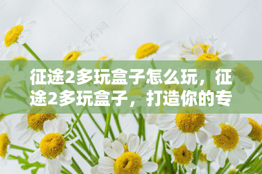 征途2多玩盒子怎么玩，征途2多玩盒子，打造你的专属游戏世界