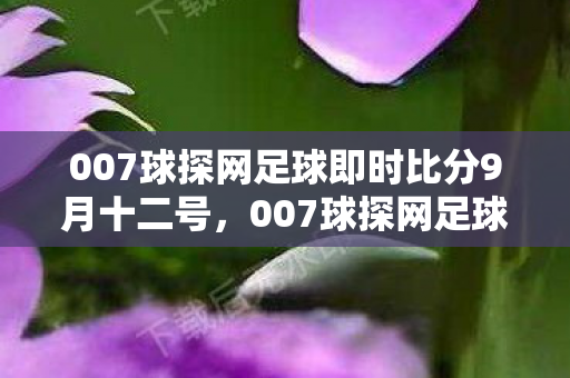 007球探网足球即时比分9月十二号，007球探网足球即时比分，掌握比赛动态，尽在掌握