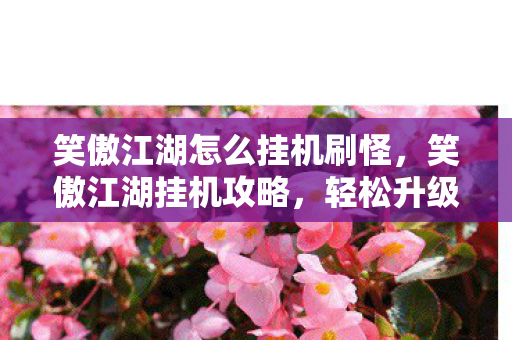 笑傲江湖怎么挂机刷怪,笑傲江湖挂机攻略,轻松升级,畅游江湖 笑傲江湖怎么挂机刷怪,笑傲江湖挂机攻略,轻松升级,畅游江湖