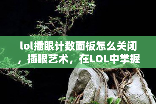 lol插眼计数面板怎么关闭,插眼艺术,在LOL中掌握视野控制的奥秘 lol插眼计数面板怎么关闭,插眼艺术,在LOL中掌握视野控制的奥秘