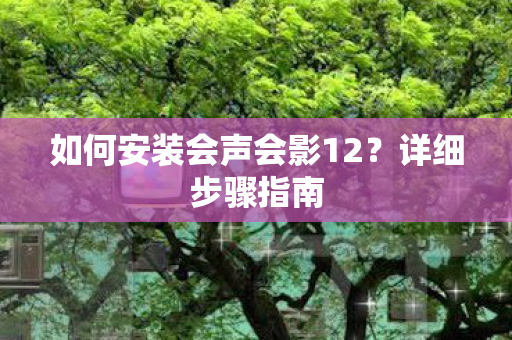 如何安装会声会影12?详细步骤指南 如何安装会声会影12?详细步骤指南