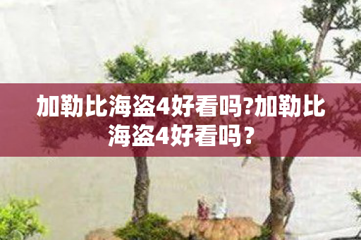 加勒比海盗4好看吗?加勒比海盗4好看吗? 加勒比海盗4好看吗?加勒比海盗4好看吗?