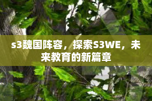 s3魏国阵容,探索S3WE,未来教育的新篇章 s3魏国阵容,探索S3WE,未来教育的新篇章