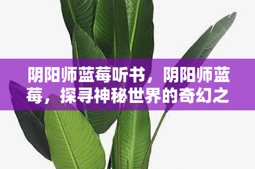 阴阳师蓝莓听书,阴阳师蓝莓,探寻神秘世界的奇幻之旅 阴阳师蓝莓听书,阴阳师蓝莓,探寻神秘世界的奇幻之旅