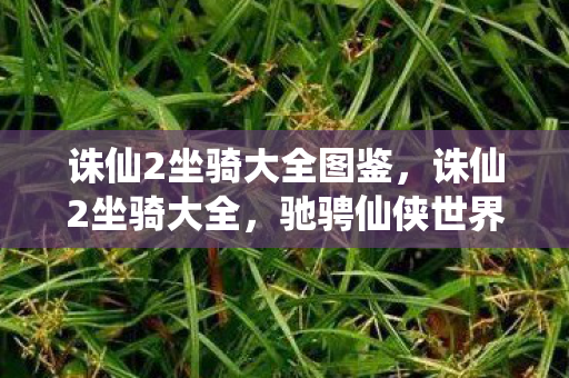 诛仙2坐骑大全图鉴,诛仙2坐骑大全,驰骋仙侠世界的飞行与陆地坐骑指南 诛仙2坐骑大全图鉴,诛仙2坐骑大全,驰骋仙侠世界的飞行与陆地坐骑指南