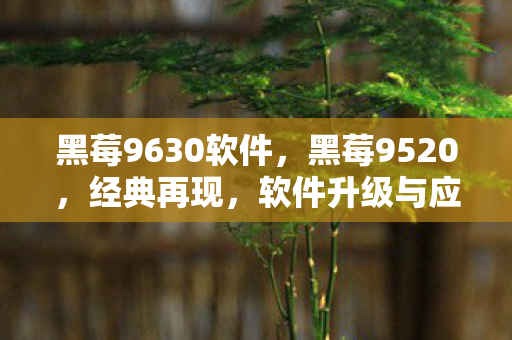 黑莓9630软件，黑莓9520，经典再现，软件升级与应用的探索