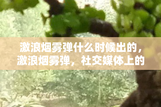 激浪烟雾弹什么时候出的,激浪烟雾弹,社交媒体上的信息迷雾与真相探寻 激浪烟雾弹什么时候出的,激浪烟雾弹,社交媒体上的信息迷雾与真相探寻