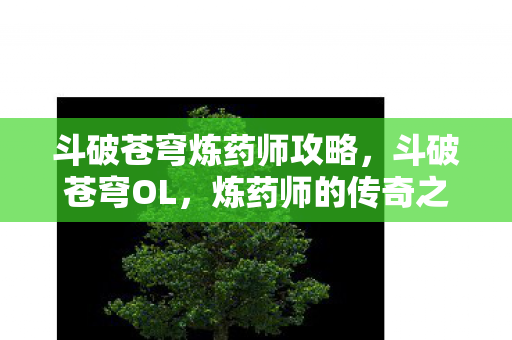 斗破苍穹炼药师攻略,斗破苍穹OL,炼药师的传奇之旅 斗破苍穹炼药师攻略,斗破苍穹OL,炼药师的传奇之旅