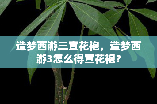 造梦西游三宣花袍,造梦西游3怎么得宣花袍? 造梦西游三宣花袍,造梦西游3怎么得宣花袍?