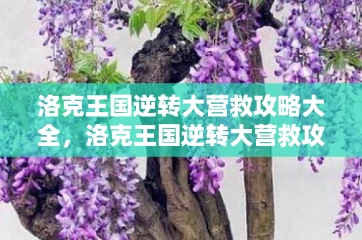 洛克王国逆转大营救攻略大全,洛克王国逆转大营救攻略 洛克王国逆转大营救攻略大全,洛克王国逆转大营救攻略