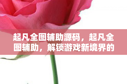 起凡全图辅助源码,起凡全图辅助,解锁游戏新境界的利器 起凡全图辅助源码,起凡全图辅助,解锁游戏新境界的利器
