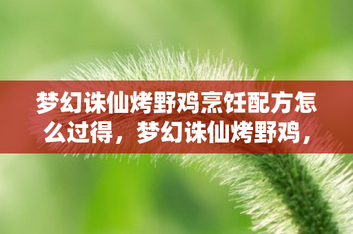 梦幻诛仙烤野鸡烹饪配方怎么过得，梦幻诛仙烤野鸡，一场味蕾与回忆的盛宴