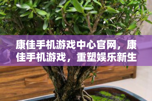 康佳手机游戏中心官网，康佳手机游戏，重塑娱乐新生态