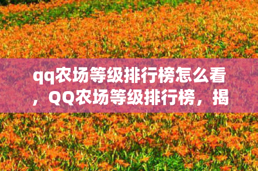 qq农场等级排行榜怎么看，QQ农场等级排行榜，揭秘农场高手的种植秘籍