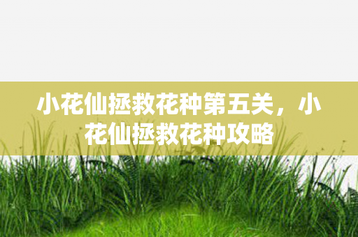小花仙拯救花种第五关,小花仙拯救花种攻略 小花仙拯救花种第五关,小花仙拯救花种攻略