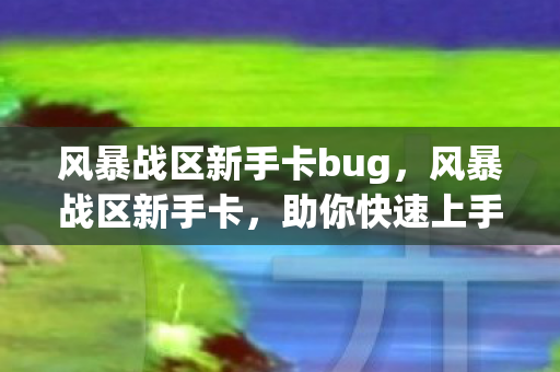 风暴战区新手卡bug,风暴战区新手卡,助你快速上手的攻略指南 风暴战区新手卡bug,风暴战区新手卡,助你快速上手的攻略指南