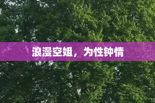 浪漫空姐,为性钟情 浪漫空姐,为性钟情