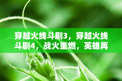 穿越火线斗剧3,穿越火线斗剧4,战火重燃,英雄再临 穿越火线斗剧3,穿越火线斗剧4,战火重燃,英雄再临