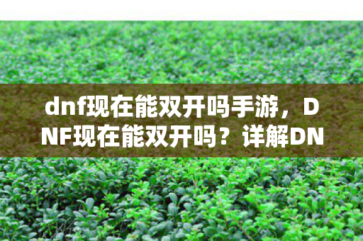 dnf现在能双开吗手游,DNF现在能双开吗?详解DNF双开方法与注意事项 dnf现在能双开吗手游,DNF现在能双开吗?详解DNF双开方法与注意事项