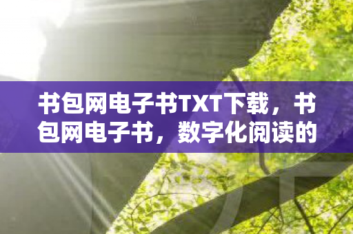 书包网电子书TXT下载,书包网电子书,数字化阅读的便捷与选择 书包网电子书TXT下载,书包网电子书,数字化阅读的便捷与选择