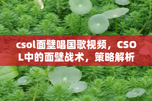 csol面壁唱国歌视频,CSOL中的面壁战术,策略解析与实战应用 csol面壁唱国歌视频,CSOL中的面壁战术,策略解析与实战应用