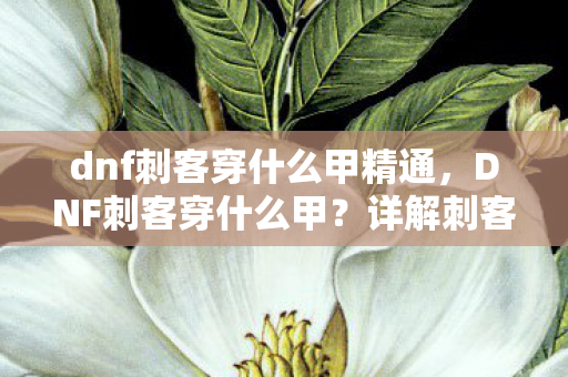 dnf刺客穿什么甲精通,DNF刺客穿什么甲?详解刺客装备选择 dnf刺客穿什么甲精通,DNF刺客穿什么甲?详解刺客装备选择