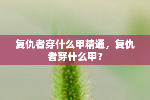 复仇者穿什么甲精通,复仇者穿什么甲? 复仇者穿什么甲精通,复仇者穿什么甲?