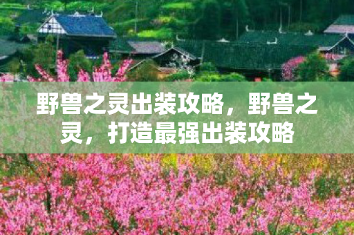 野兽之灵出装攻略,野兽之灵,打造最强出装攻略 野兽之灵出装攻略,野兽之灵,打造最强出装攻略