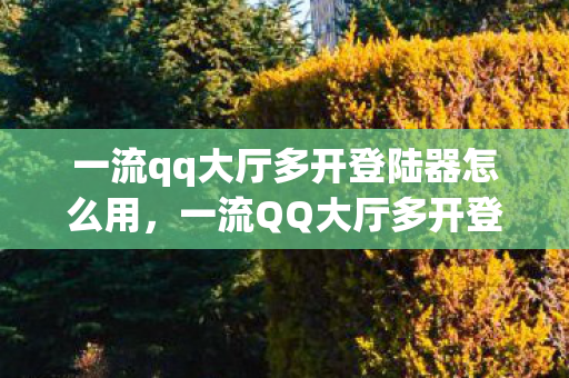 一流qq大厅多开登陆器怎么用,一流QQ大厅多开登陆器,高效便捷,打造你的专属聊天体验 一流qq大厅多开登陆器怎么用,一流QQ大厅多开登陆器,高效便捷,打造你的专属聊天体验