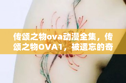传颂之物ova动漫全集,传颂之物OVA1,被遗忘的奇迹与宿命 传颂之物ova动漫全集,传颂之物OVA1,被遗忘的奇迹与宿命