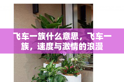 飞车一族什么意思,飞车一族,速度与激情的浪漫 飞车一族什么意思,飞车一族,速度与激情的浪漫