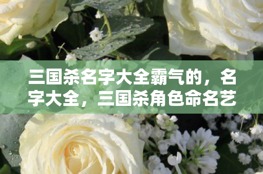三国杀名字大全霸气的,名字大全,三国杀角色命名艺术 三国杀名字大全霸气的,名字大全,三国杀角色命名艺术