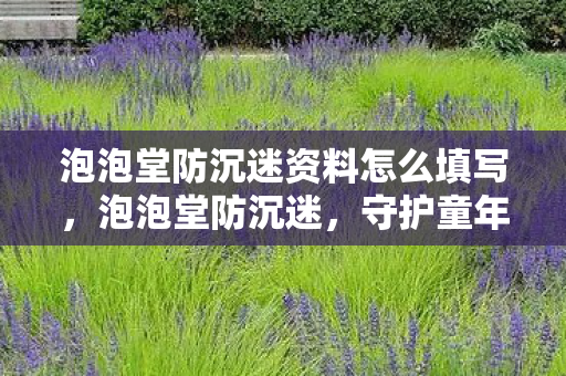 泡泡堂防沉迷资料怎么填写,泡泡堂防沉迷,守护童年,健康游戏 泡泡堂防沉迷资料怎么填写,泡泡堂防沉迷,守护童年,健康游戏